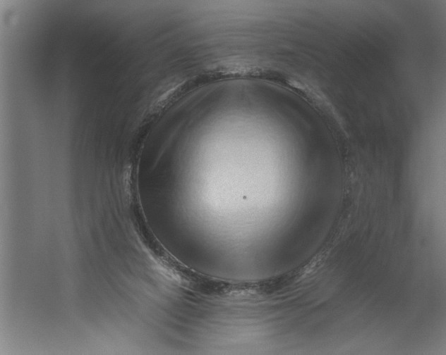 X0000062170066200512301656