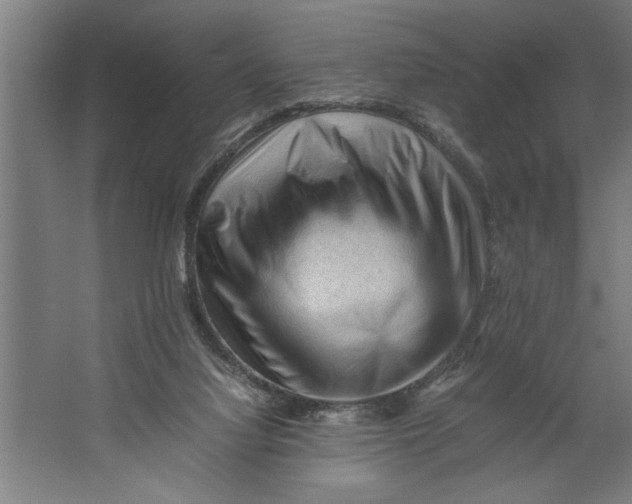 X0000062170068200512301656