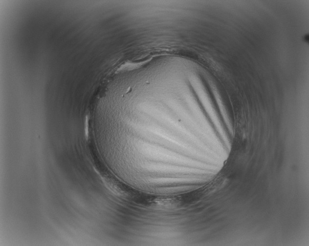 X0000062170070200512301656