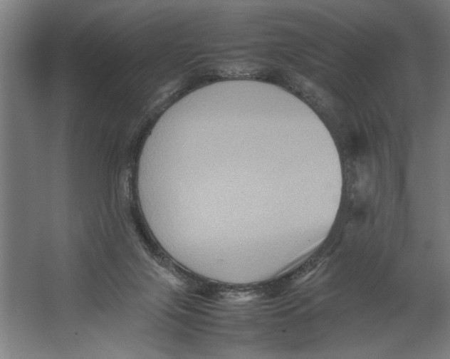 X0000062170071200512301656