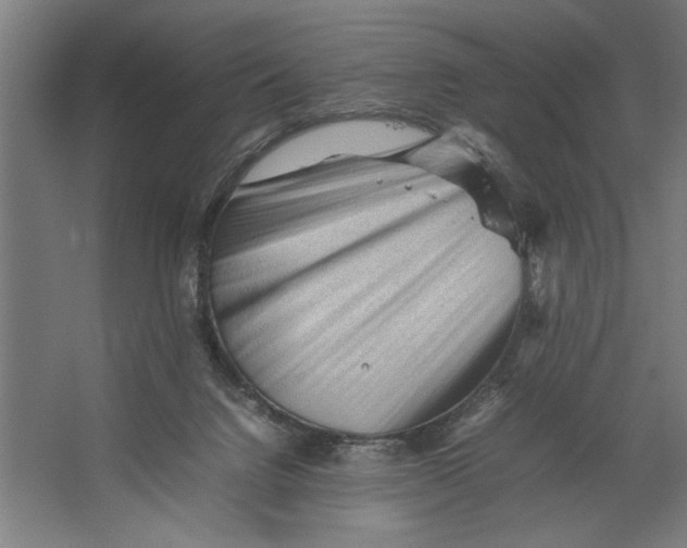 X0000062170072200512301656