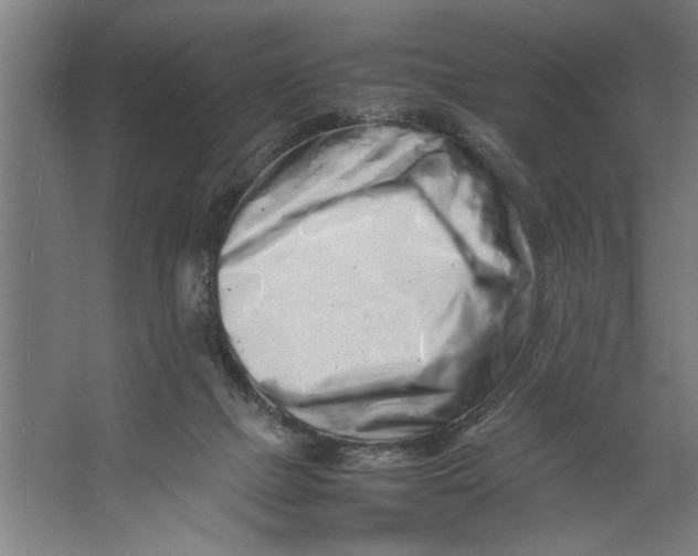 X0000062170073200512301656