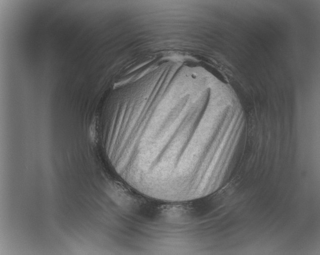 X0000062170074200512301656
