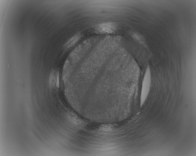 X0000062170076200512301656