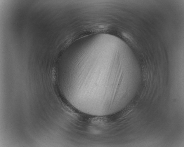 X0000062170077200512301656