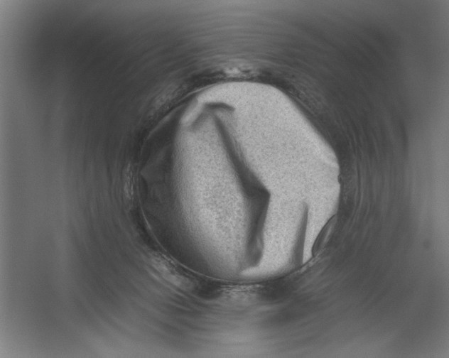 X0000062170078200512301656
