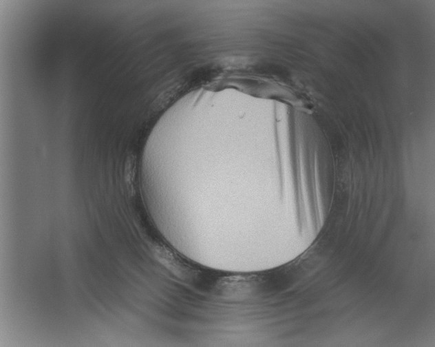 X0000062170082200512301656