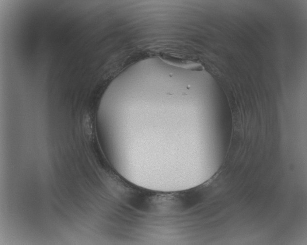 X0000062170086200512301656
