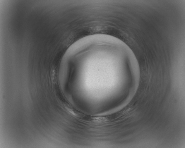 X0000062170087200512301656