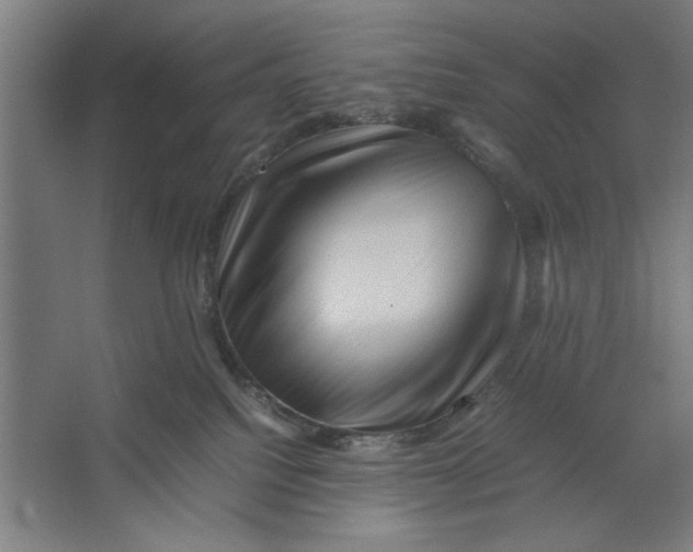 X0000062170088200512301656