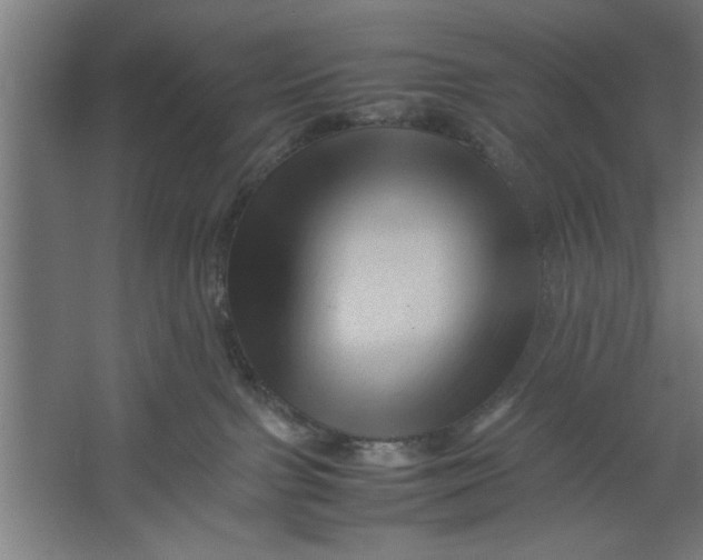 X0000062170091200512301656