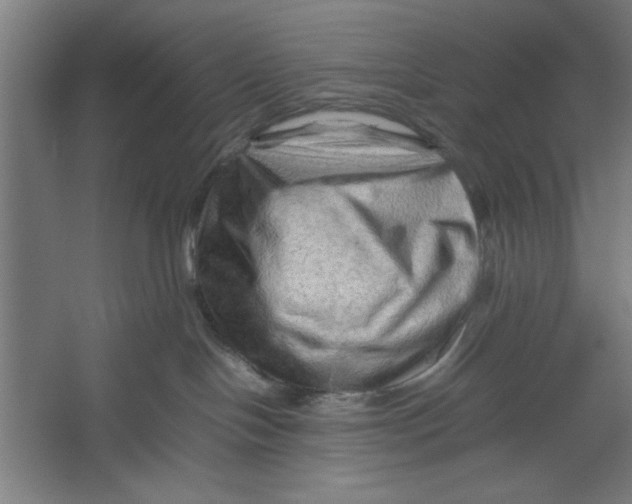 X0000062170094200512301656