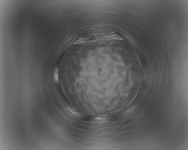 X0000062170095200512301656