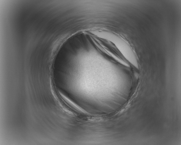 X0000062170097200512301656