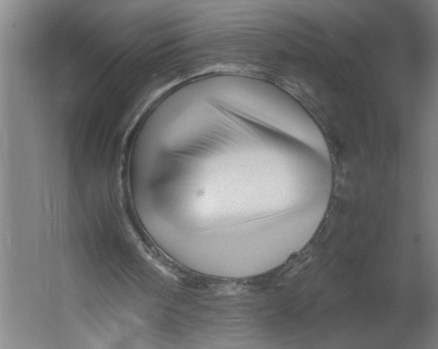 X0000062170098200512301656