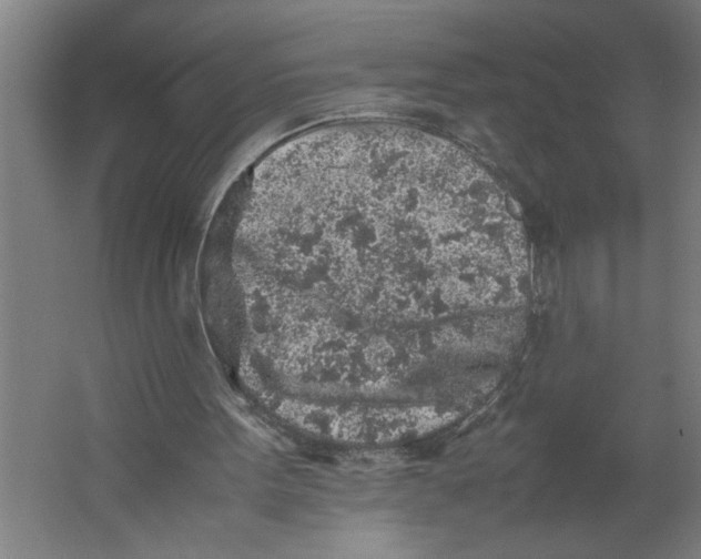 X0000062170099200512301656