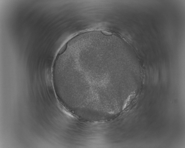 X0000062170100200512301656
