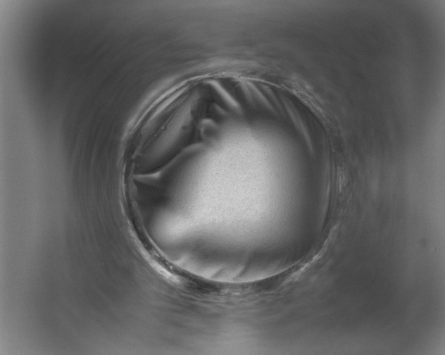 X0000062170101200512301656