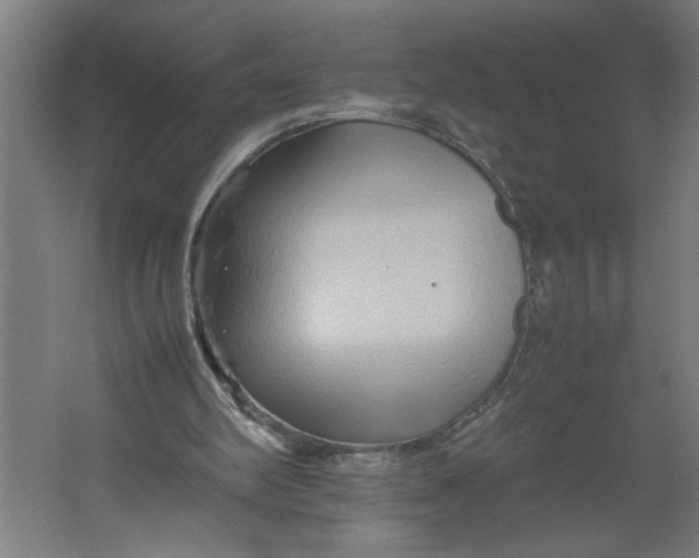 X0000062170102200512301655