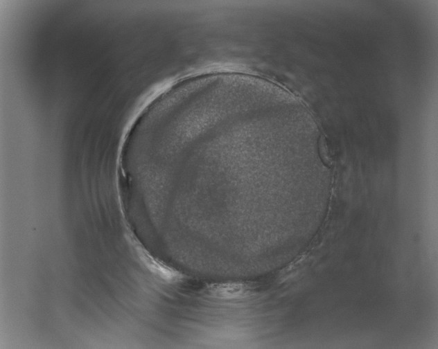 X0000062170104200512301655