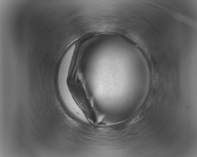 X0000062170105200512301655