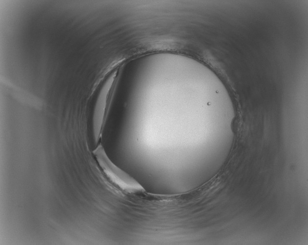 X0000062170106200512301655