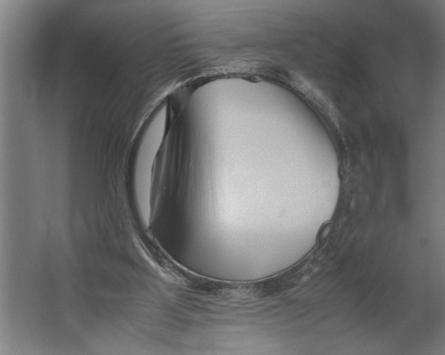 X0000062170107200512301655