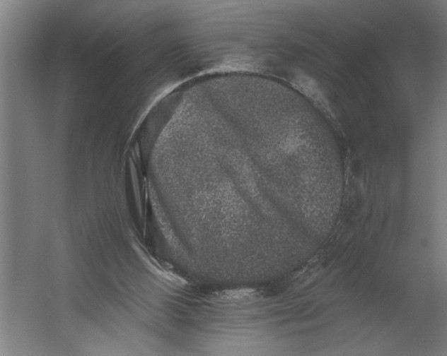 X0000062170108200512301655
