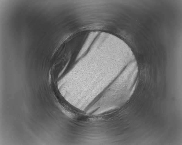 X0000062170110200512301655