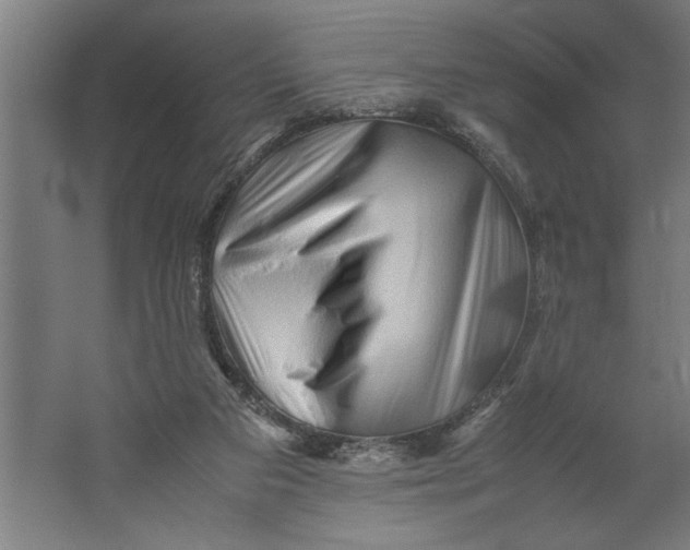 X0000062170113200512301655