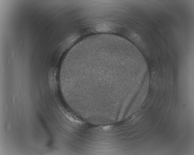 X0000062170116200512301655