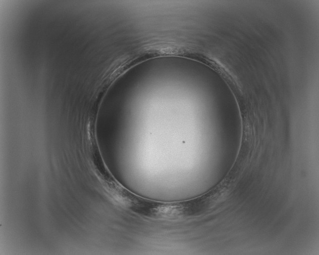 X0000062170117200512301655