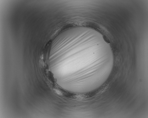 X0000062170121200512301655