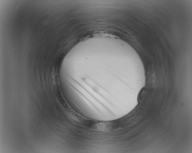 X0000062170126200512301655