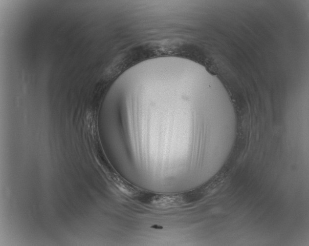 X0000062170129200512301655