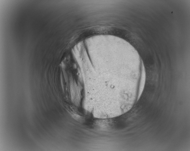 X0000062170131200512301655