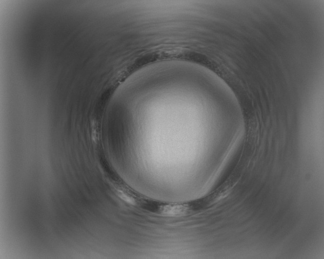 X0000062170135200512301655