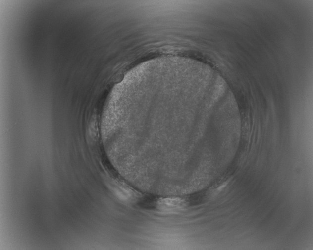 X0000062170137200512301655