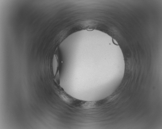 X0000062170138200512301655