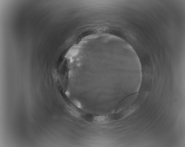 X0000062170139200512301655
