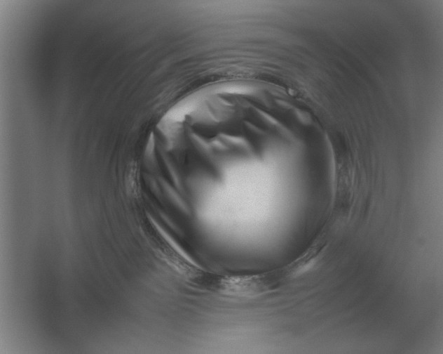 X0000062170141200512301655