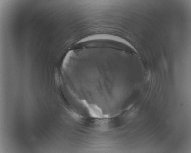 X0000062170143200512301655