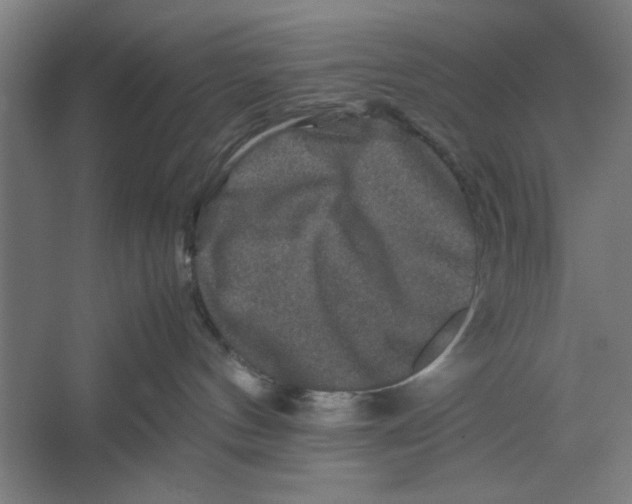 X0000062170144200512301655