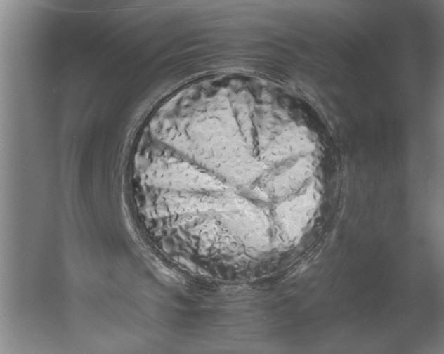 X0000062170145200512301654
