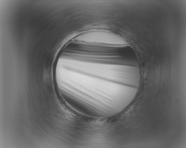 X0000062170148200512301654