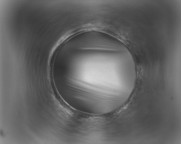 X0000062170150200512301654