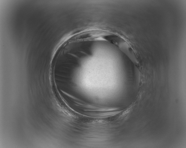 X0000062170152200512301654