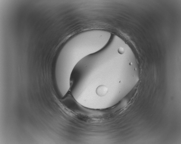 X0000062170154200512301654