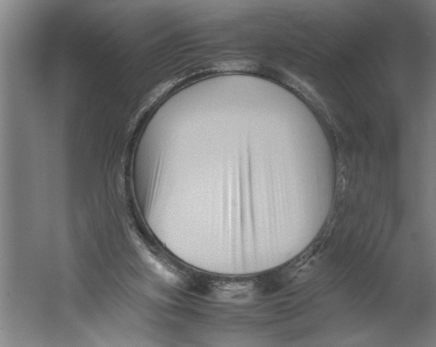 X0000062170155200512301654