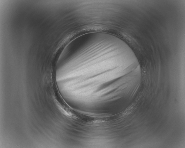 X0000062170158200512301654
